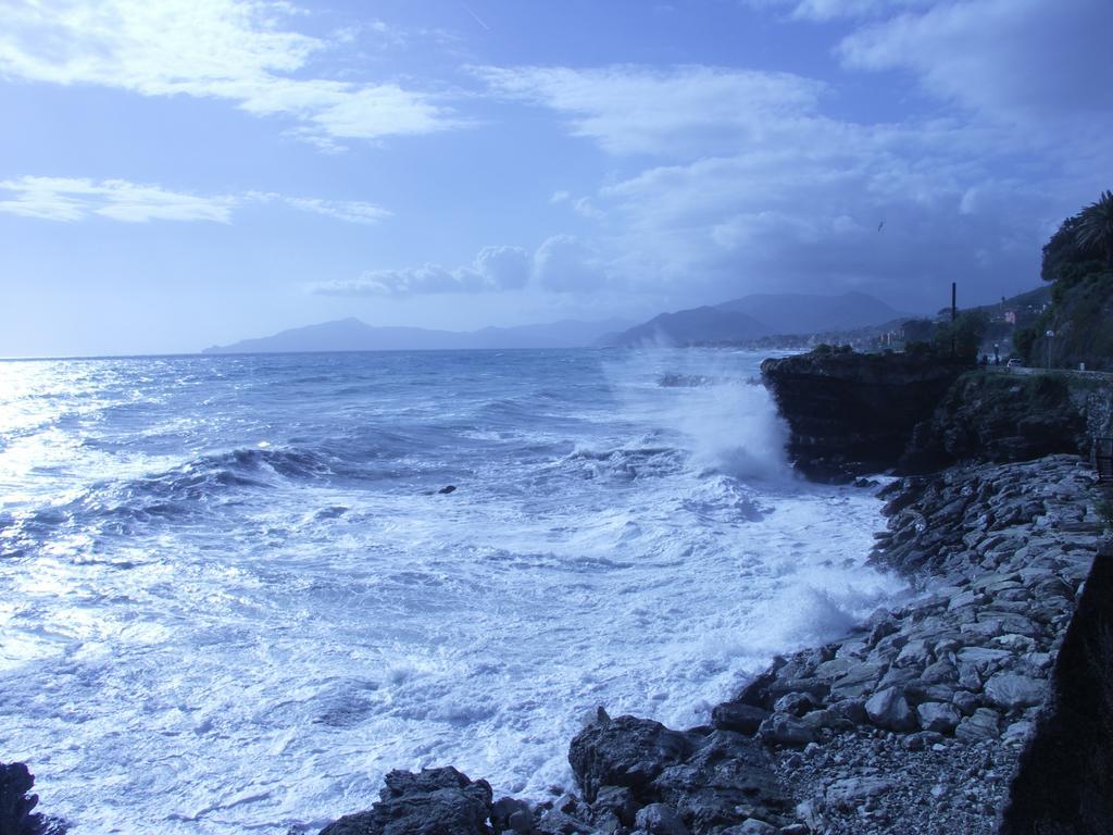 Fronte * Cavi di Lavagna